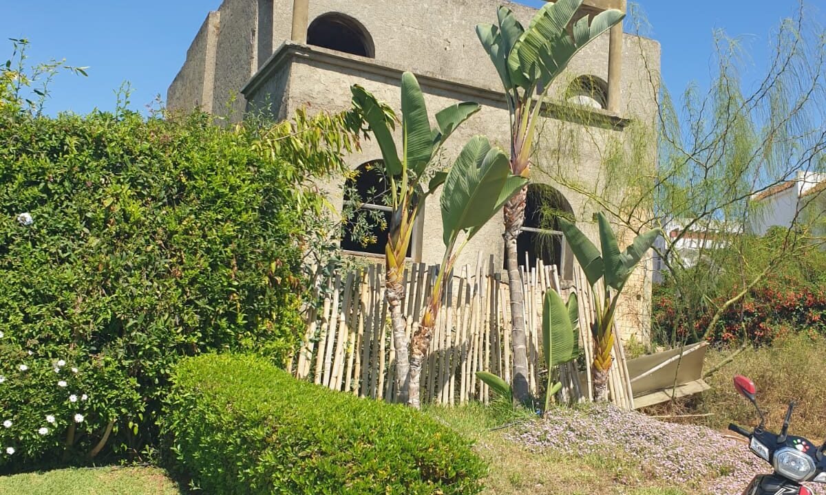 3f53ffc5-fc2c-4569-a317-121c88477938